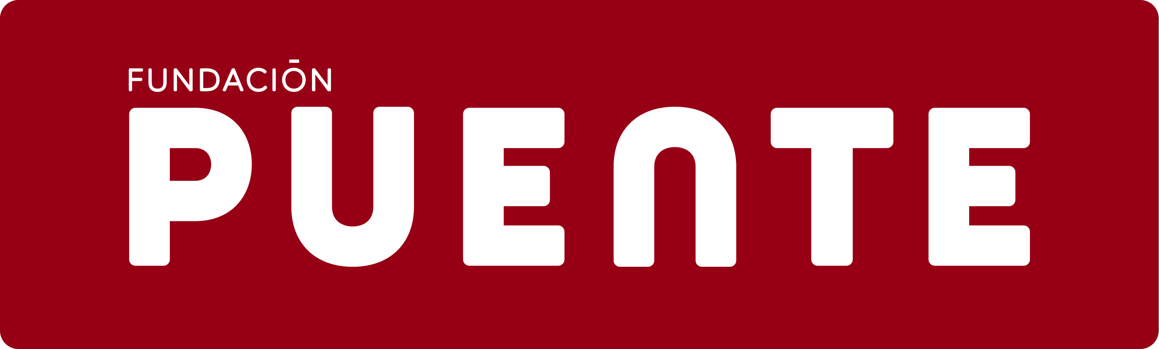 Fundación Puente